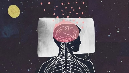 Di Bagian Tulang Tengkorak Terdapat Organ Vital yang Disebut