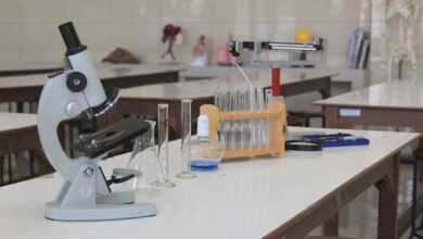 Metode Praktikum Hanya Bisa Dilaksanakan di Sekolah yang Memiliki Laboratorium